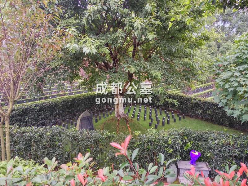 环境图-长松寺公墓-成都公墓