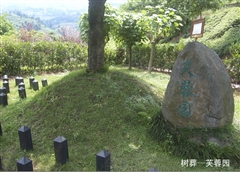 草坪葬-玉兰园-长松寺公墓-成都公墓