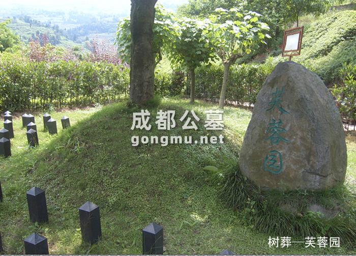 草坪葬-玉兰园-成都公墓