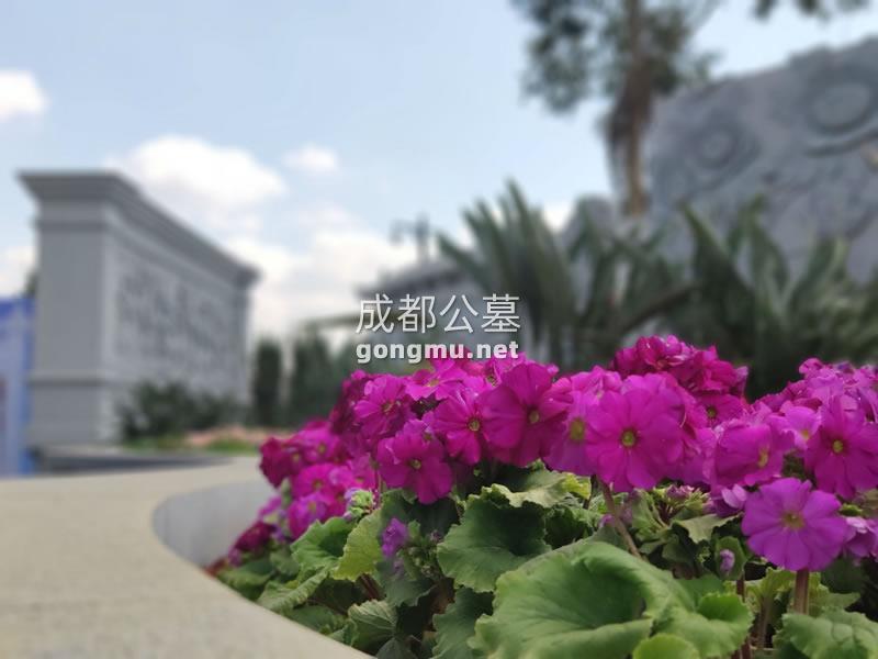 景观图-成都公墓