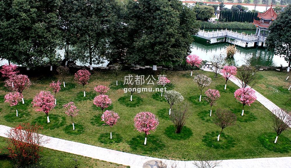 环境图-成都公墓