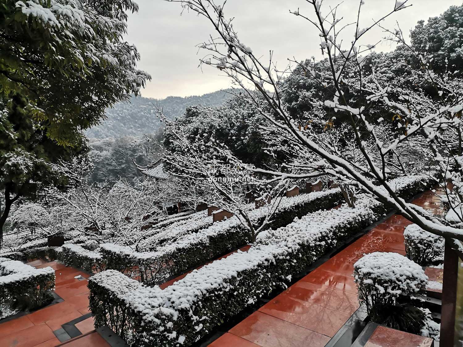 雪景-成都公墓