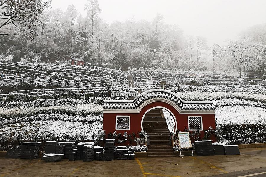 雪景-成都公墓