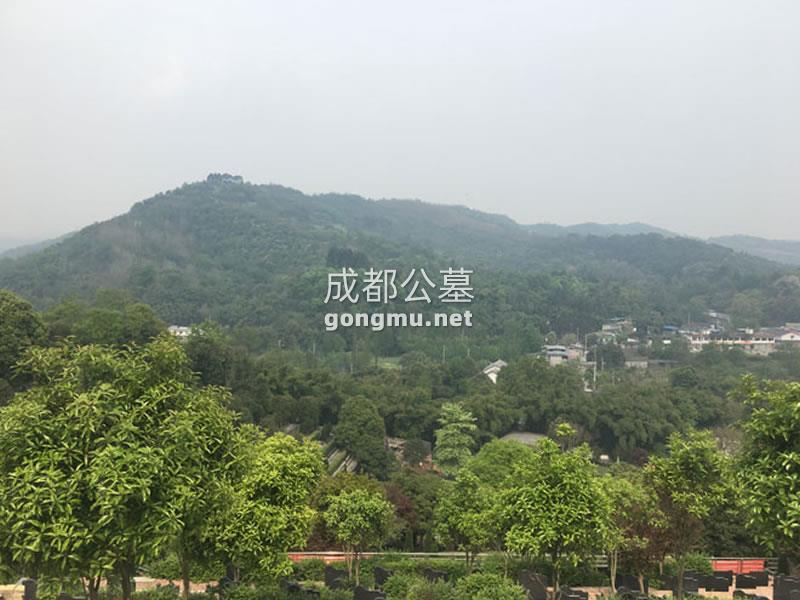 环境图-成都公墓