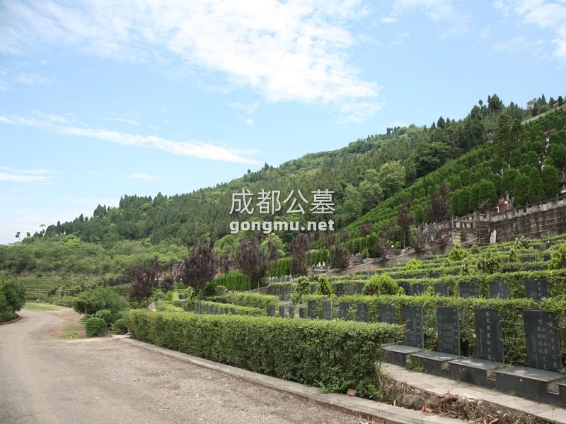 环境图-金龙山公墓-成都公墓
