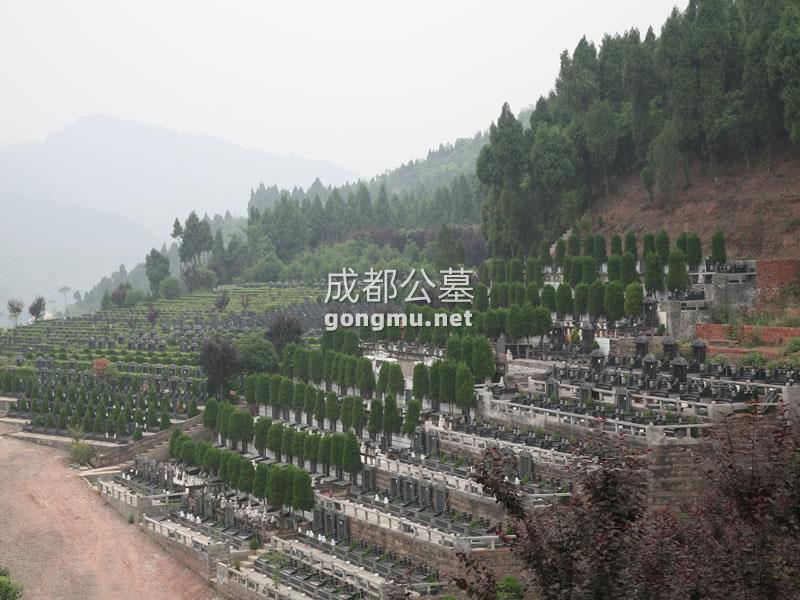 环境图-金龙山公墓-成都公墓