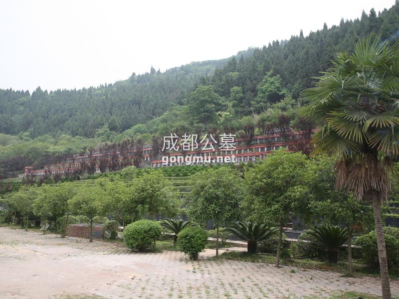 景观图-金龙山公墓-成都公墓