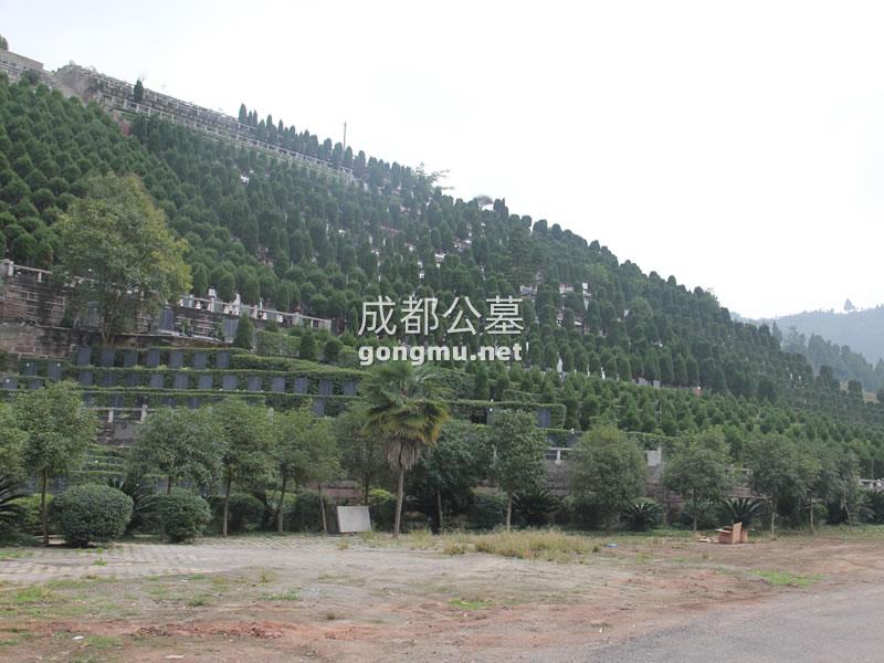 景观图-金龙山公墓-成都公墓