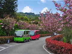 摆渡车、桃花盛开-长松寺公墓-成都公墓