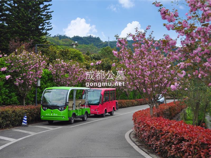 摆渡车、桃花盛开-成都公墓