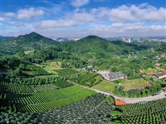 燃灯寺公墓特价墓区 2022年10月