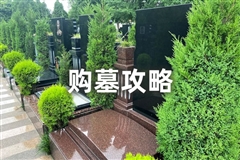 购墓攻略提前准备