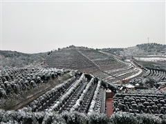 冬日雪景 俯瞰园区-德阳龙井公墓-成都公墓